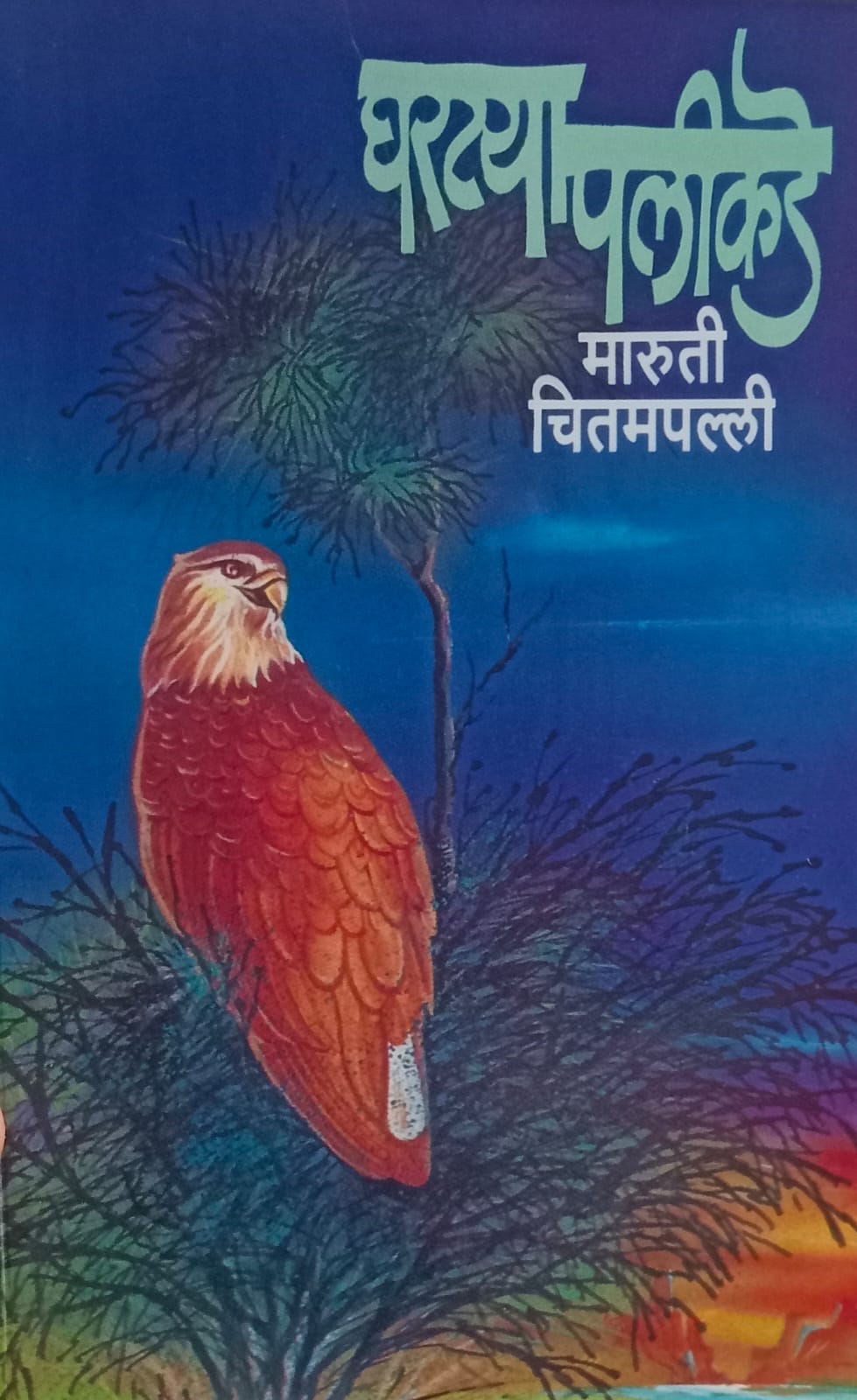 Gharatya Palikade(  घरट्या पलीकडे) by  Maruti Chitampalli