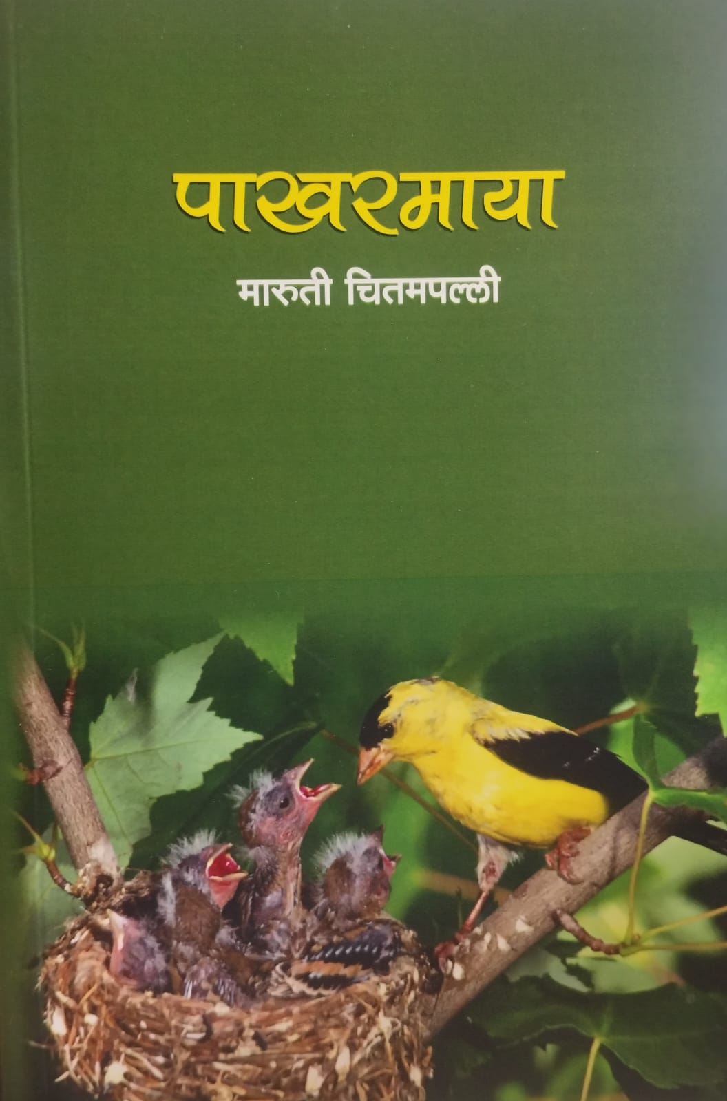 Pakharmaya" (पाखरमाया)  by Maruti Chitampalli